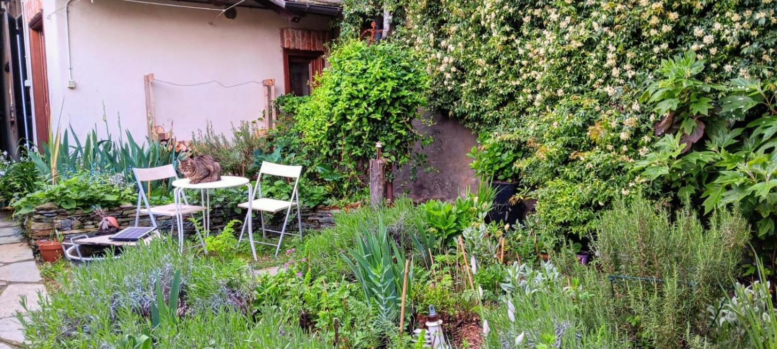 La Marmotta Hotel Luserna San Giovanni Exterior foto